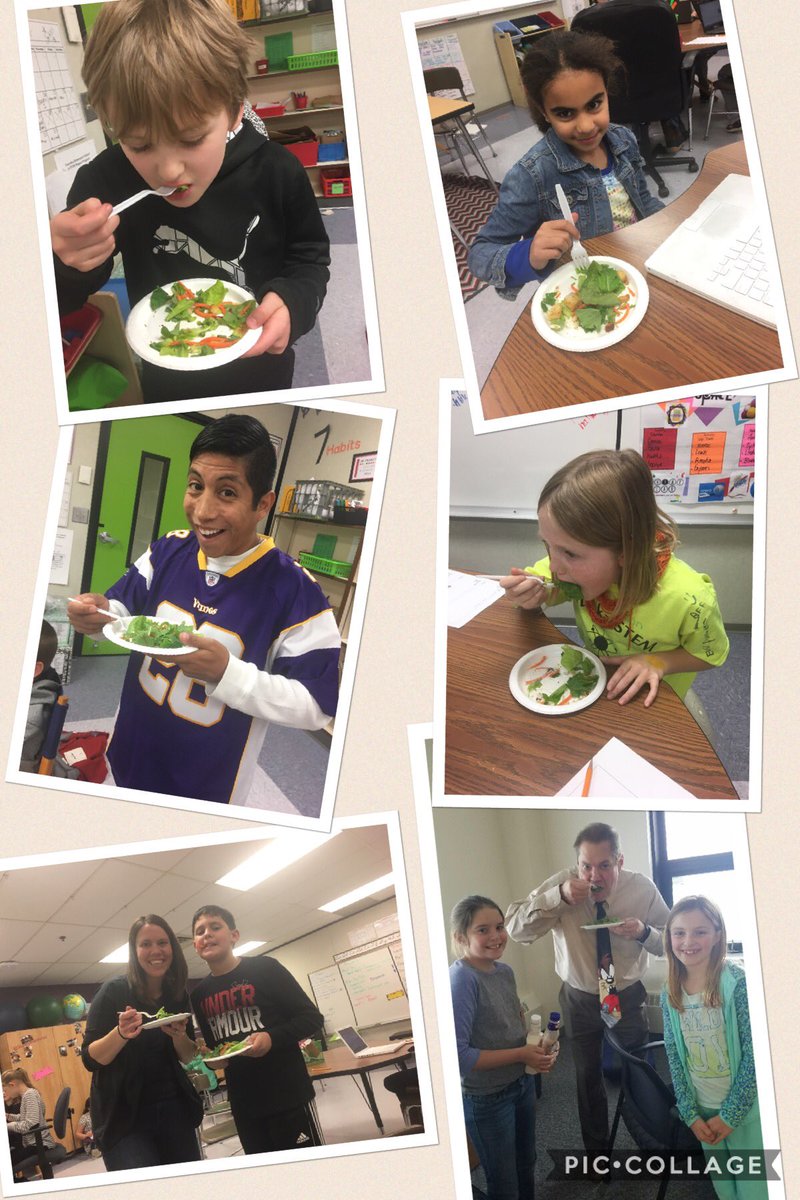 MrsVolksClass's tweet photo. We harvested today and had fresh salad!!! The kids loved it and begged for more! @TowerGarden #TatankaSTEM https://t.co/DA9FvF5qe3