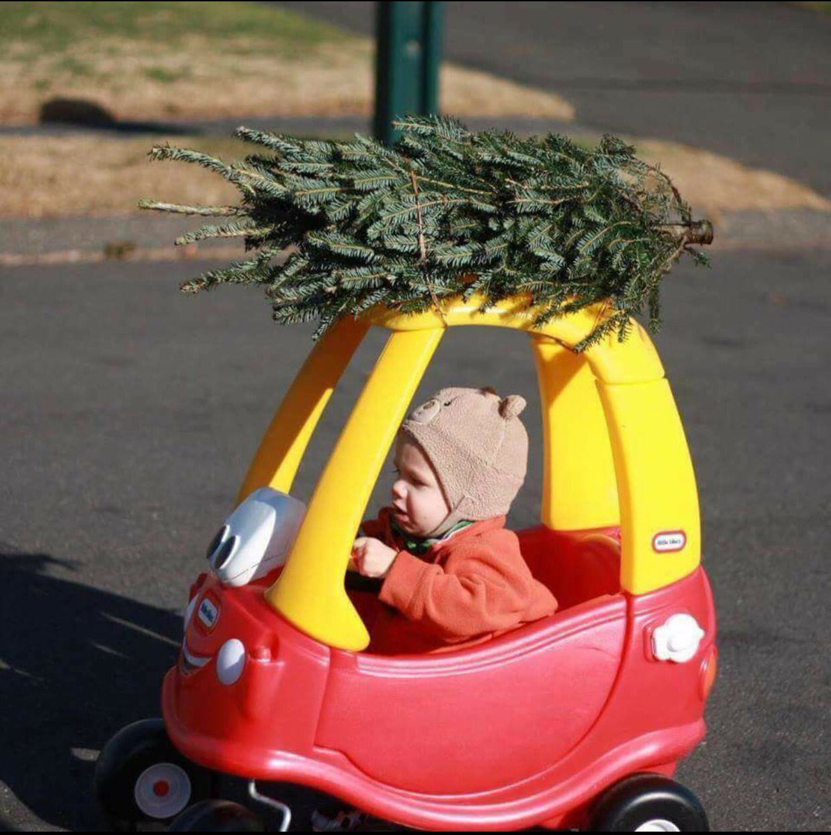 Mom and Dad are gonna be so proud of me. I drove to Home Depot and picked up our Christmas tree. <a href="/DHRMgregorio/">Maria Soto</a> @si62025372 <a href="/kathy102894/">Kathy Tapia</a>