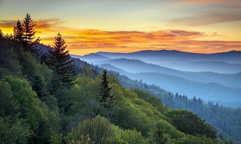 littlebigtown's tweet photo. The Gatlinburg fires have been devastating to so many people. Sending you love &amp; prayers. We can all help. More at https://t.co/ElmBYVvjUG https://t.co/q6VczSTaJj