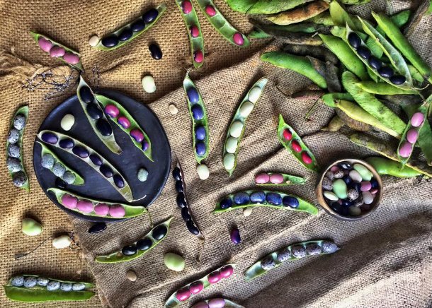 PasteFood's tweet photo. #Suculenta Brings Rare #Pickles to #Oaxaca #MX https://t.co/Cx3xOjbzOE #travelmexico #mexicotravel #fermentation #fermentedfoods @boulencpan https://t.co/gRK0mZgBrA