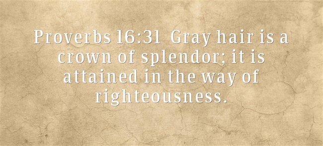 Angels_SHS's tweet photo. Embrace that gray hair! #righteousness https://t.co/Hv4nDrpEm9
