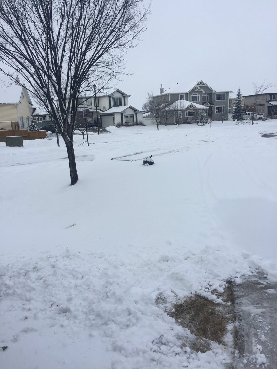 BenderRB's tweet photo. @City_of_Airdrie missed one today https://t.co/vfCrTpMhDf