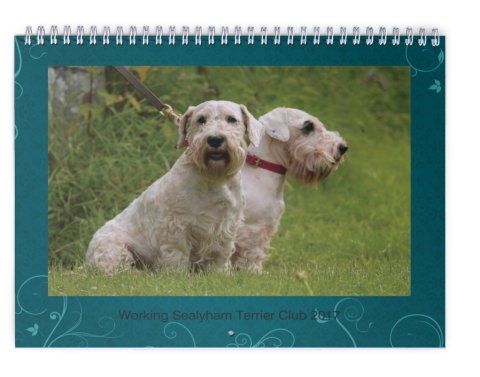 mysealyhams's tweet photo. Hot off the press today :) Our Working Sealyham Terrier Cub 2017 Calendar ~ Available to buy from our online shop ~https://t.co/80KlEZutsE https://t.co/iIFTTvHzSW