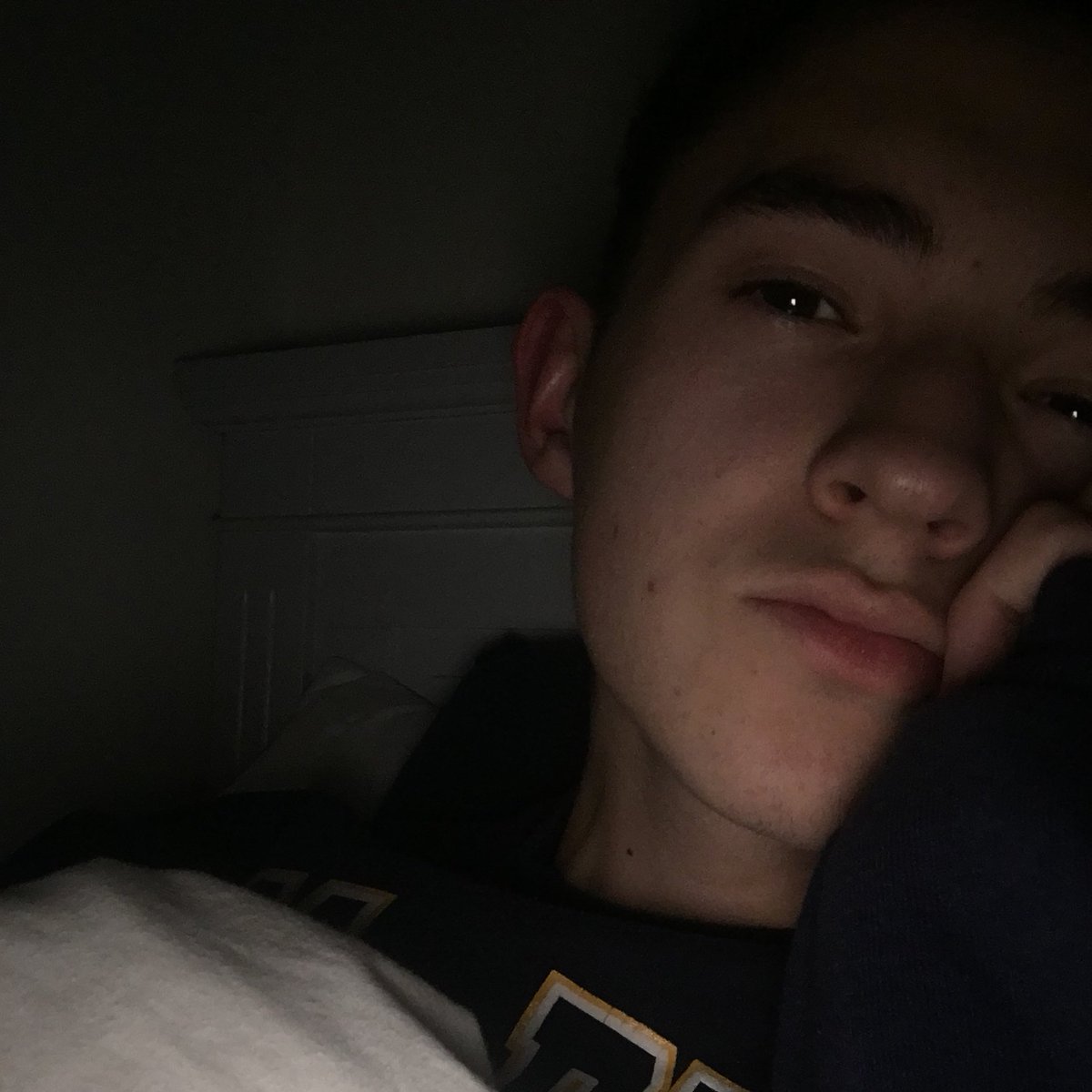 louisbxwles's tweet photo. bee movie but instead of the bee movie there's two photos of me https://t.co/8jpzXjhSRC
