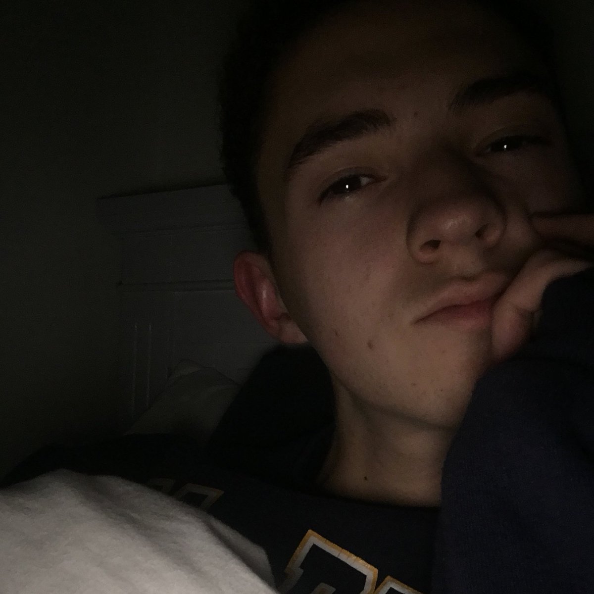 louisbxwles's tweet photo. bee movie but instead of the bee movie there's two photos of me https://t.co/8jpzXjhSRC