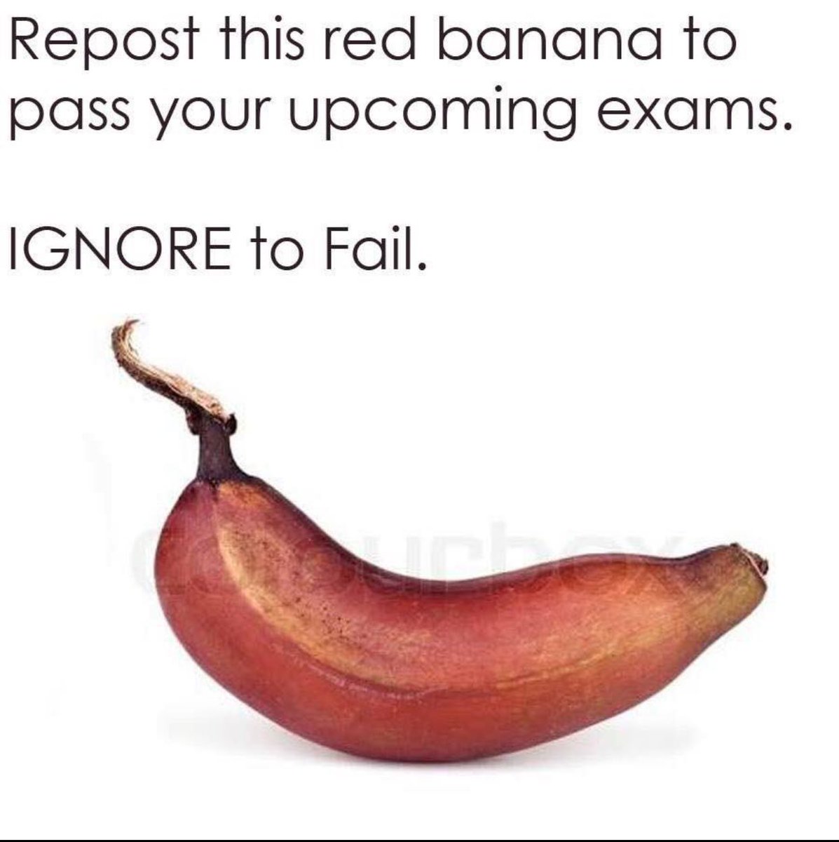 trrippyyy's tweet photo. Not taking that risk. 🤔 https://t.co/3bT4tU9Ry5