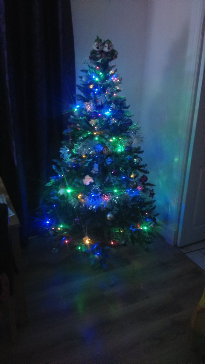 pauly281's tweet photo. Chritsmas tree, oh Christmas tree 🎶 #Dec1st #TreeUp #tradition #christmastraditions #family https://t.co/gYuuzHy2PA