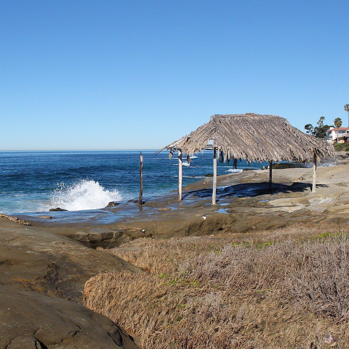 HarrysCoffeeLJ's tweet photo. La Jolla's Jewel. #Windansea #LaJolla #Surf #EatAtHarrys #SanDiego #SD #MacMeda #TheShack #TheJewel #California #HarrysCoffeeShop https://t.co/fHelFqV6QJ
