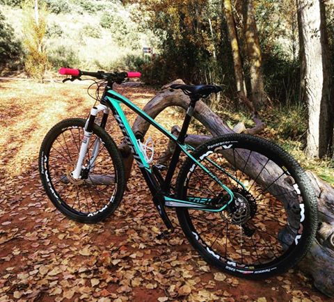 VITORIABikes's tweet photo. Inconfundible entre Colores del Otoรฑo ๐ MTB Sioux SL27'5"
#mtbtime #mtb #bikers #vitoriabikes #cyclinglife https://t.co/oDlto0ihuy