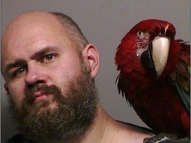 Court Appearance Leaves Man's Pet on a Limb dlvr.it/MnZ8Bz