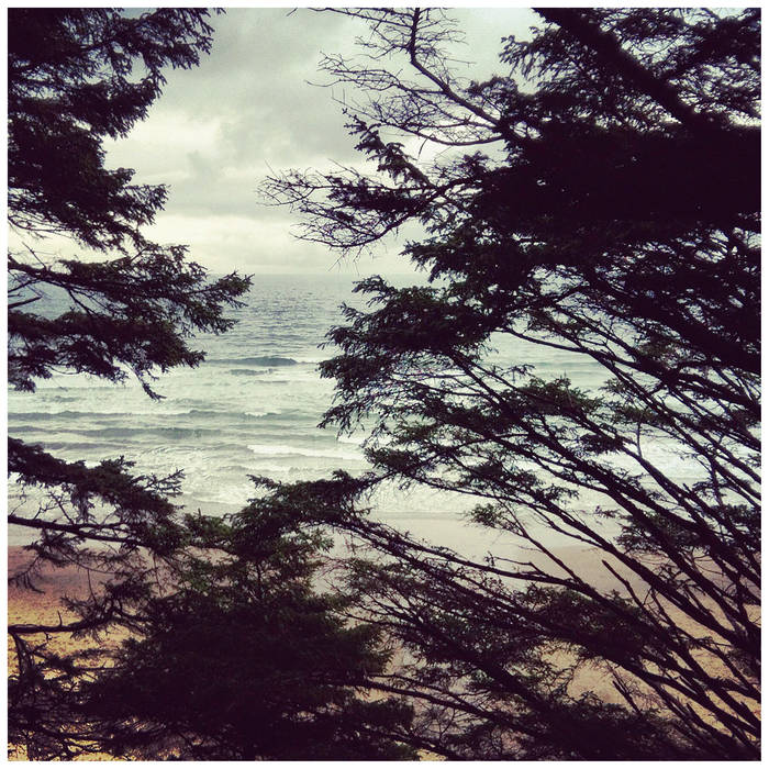 <a href="/WLtheband/">WL</a> vinyl now available at your finest local record stores!