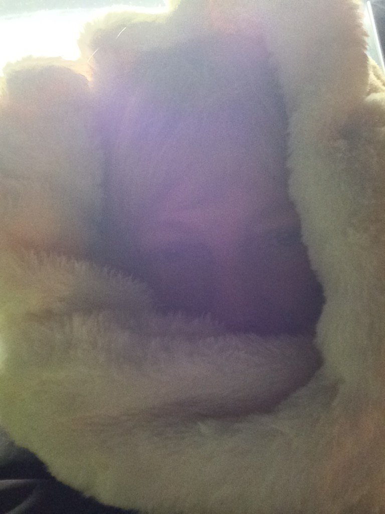 SharonBarrynews's tweet image. I've quite possibly got overdressed for Sophia Gardens, Cardiff, but ready for Finnish Lapland #brr #MeetingSanta