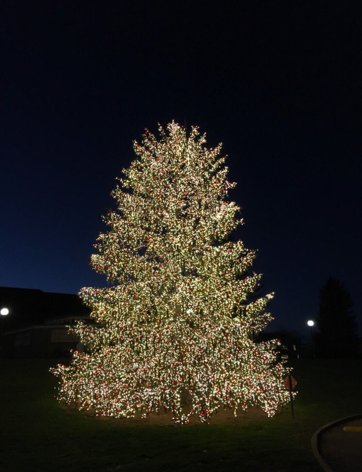 MaristNews's tweet photo. The #Marist tree is lit! https://t.co/pJDpOb0qyC