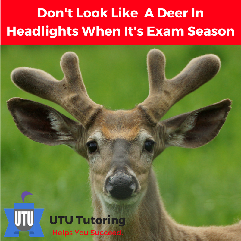 UTU_Canada's tweet photo. Don't be this guy!
#UTUtutoring #ExamSeason 
#Exams #Tutoring 
#Homework #NeedHelp
#Grades https://t.co/80N8Ug2xDF