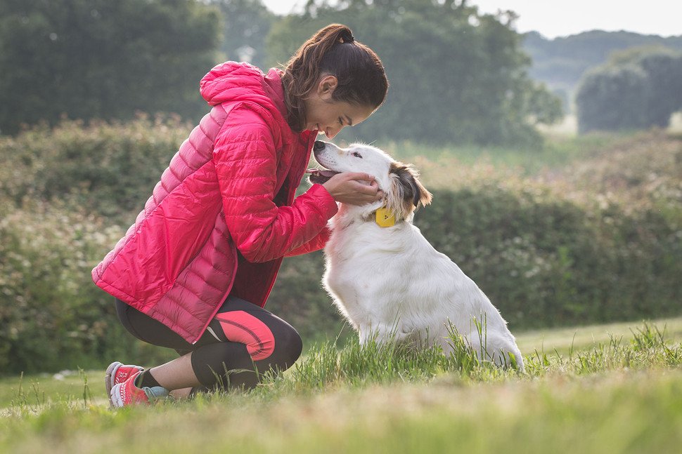 WearablesGlobal's tweet photo. Awesome tech you canโt buy yet: GPS for your pet, camera glasses, and more https://t.co/6eemi1Kesp #findster https://t.co/gpP57BDioP
