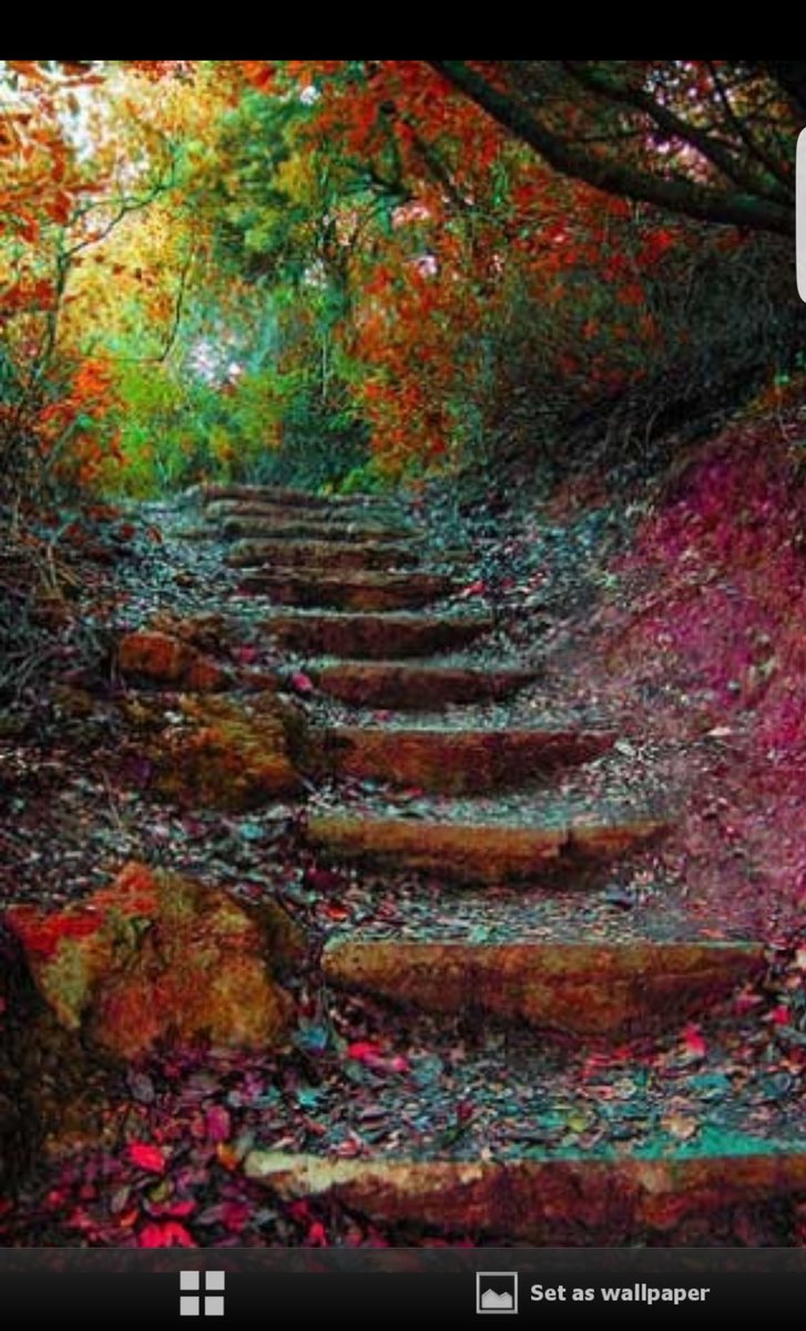 @Im_StillReal <a href="/DULCE_PASION__/">▶🌠#SWEET #TMCHIEVAS</a> @lynn_nich <a href="/ameliasn27/">Ame 😘💋💋</a> <a href="/AdryMMP/">AdryMMP</a> @alaura2015 <a href="/DavidRo1238/">David 1238</a> @joeldesouza2626 <a href="/kompulsion/">#PROMIN #News #World</a> <a href="/hh888874/">...</a> <a href="/1LA_Lady/">✰‿❤⌒*✰ ᏘᏰᏰᎽ  ✰‿❤⌒*✰</a>