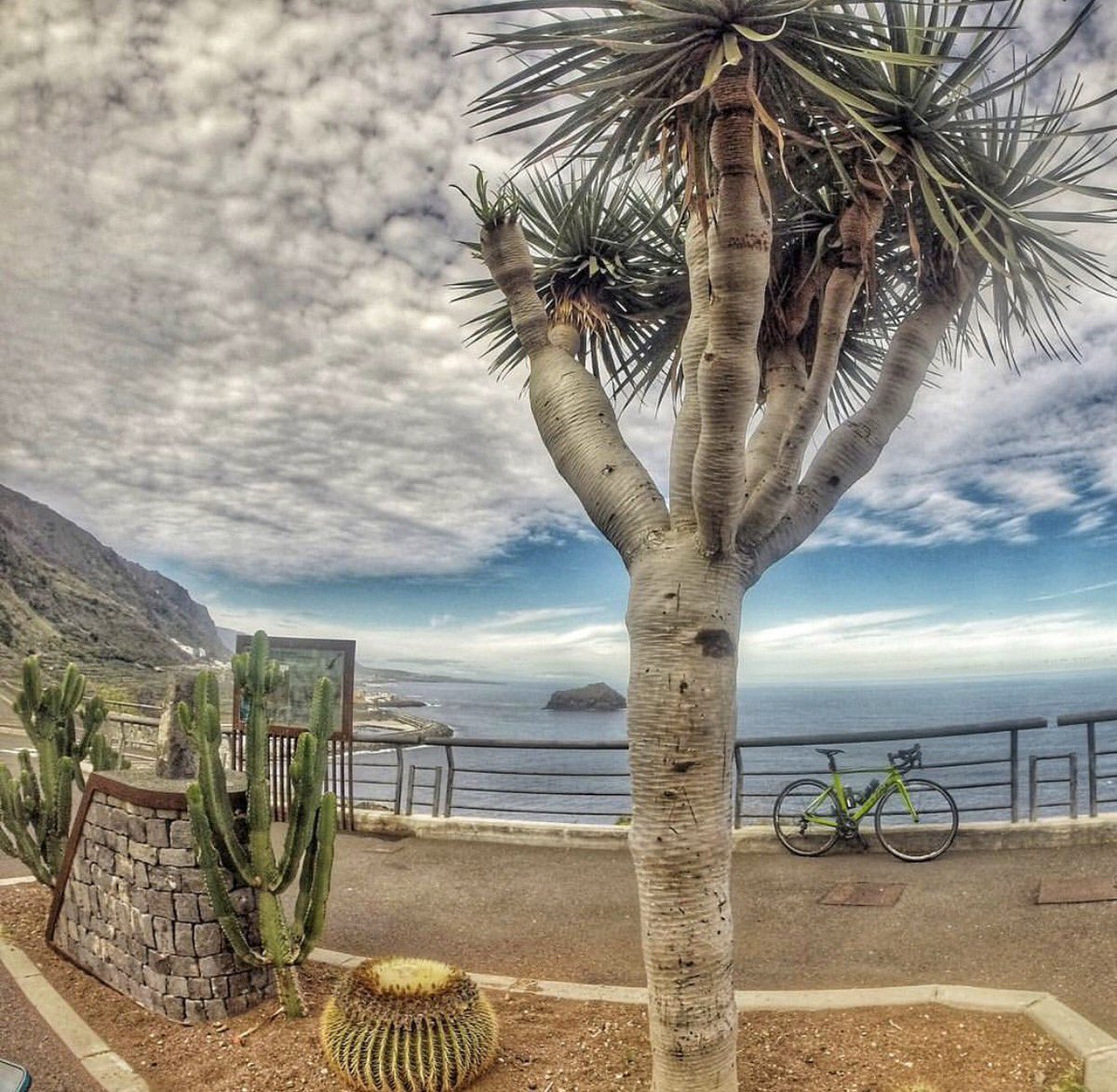 Sharing this nice photo of our friend Omar Medina riding around Tenerife. #loveride #tenerife #canaryislands