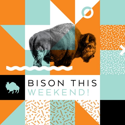 This weekend! We're at Royal Bison Art &amp; Craft Fair and EVERYTHING MUST GO! Exclusive pieces &amp; MAJOR deals on Samples and Accessories! #yeg