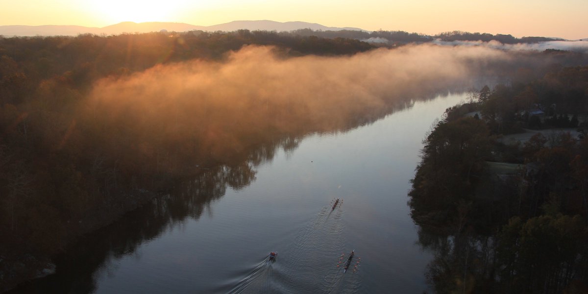 Virginia Rowing tweet media