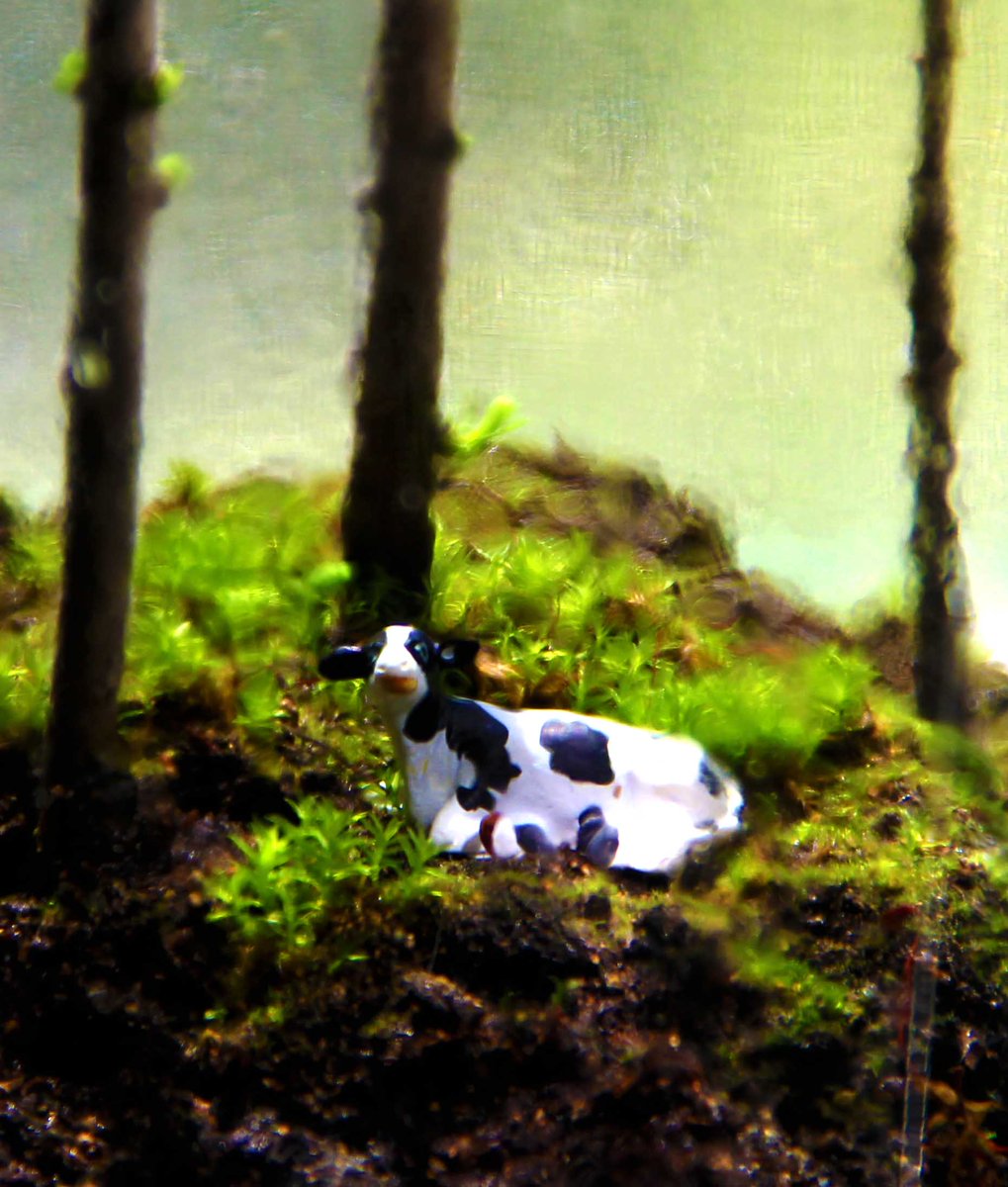 AustinArte's tweet image. This is an #Ecosfere  Living World 100% Carefree  #Art #Austin #texas