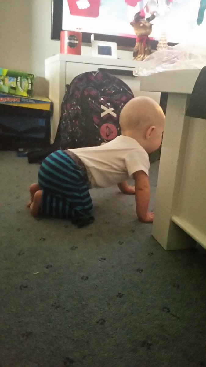 uknowthatguyjim's tweet photo. @Jemtash23 Nearly there.. #OnTheMove #Crawling #ImABigKidNow #ItsAChicken 🐓🐓❤❤ https://t.co/CGURdVYrt6