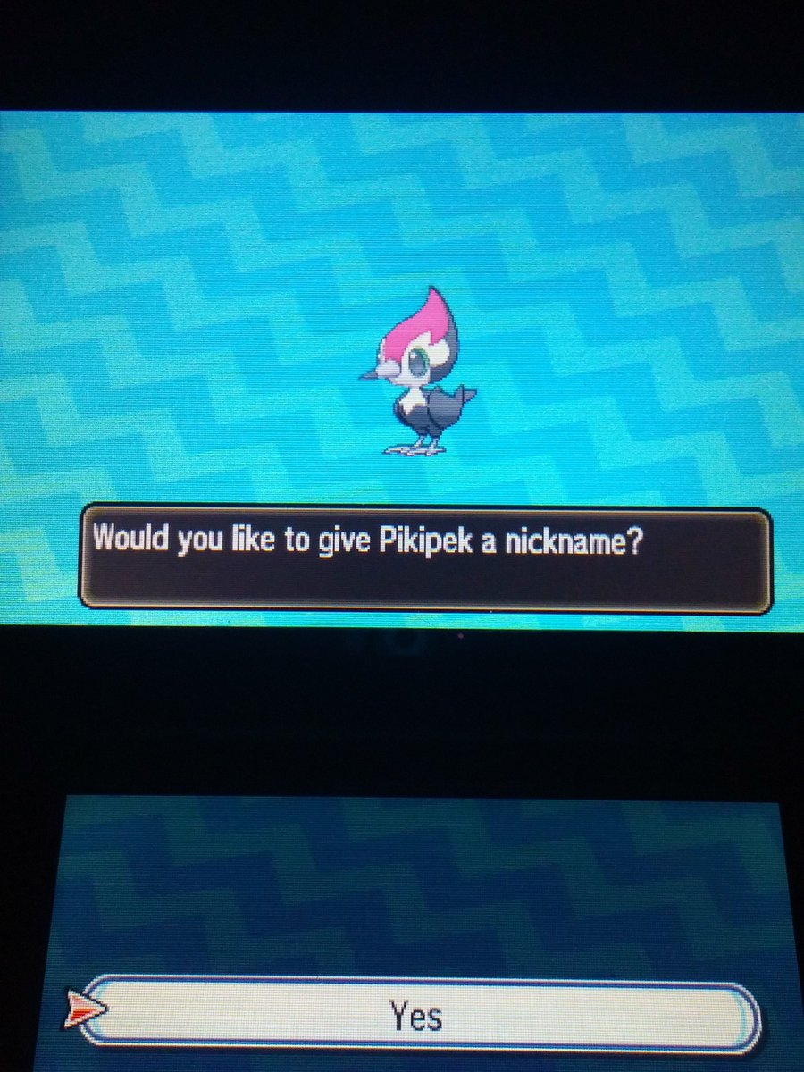 ChasingPixels's tweet image. Shiny Pikipek :) #shinypokemon #PokemonSunMoon #pikipek #pokemon