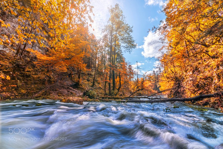 JaxGlam's tweet image. The Spirit Of All Things by #videoDoll, you ready for this?” I looked at Daddy. The “#Jax Legend” smile was fixed on his face. “This one is…