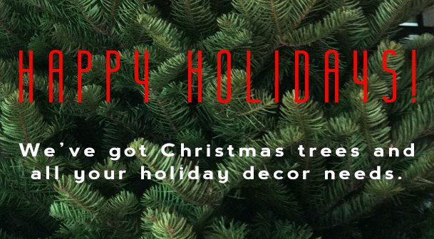 2016 Holiday Gift Guide northparknursery.com/2016/12/2016-h…