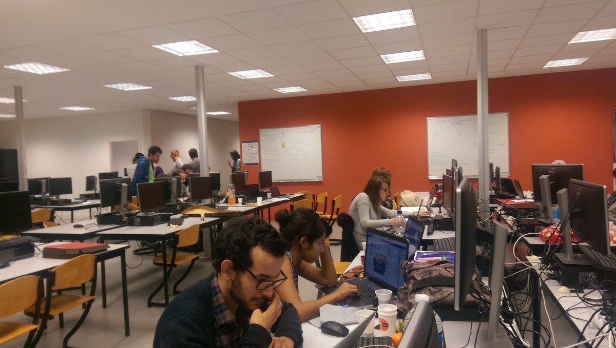 Power_Hum_Programers tweet media