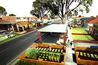 Foreground tweet media