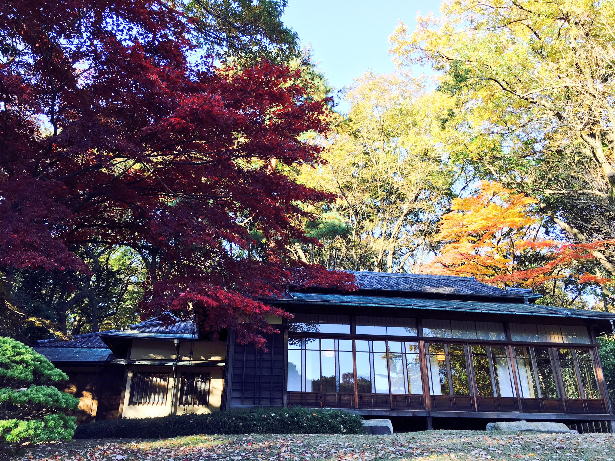 Roots 清正の井戸って知っていますよね 待ち受け画面にするだけで癒しの効果が得らる内容 運気が上がった 就職できた 告白できて恋愛がかなった など 清正の井戸からパワーをもらった方が多いとわれます 特に今回言いたいのが 井戸の水面が動く