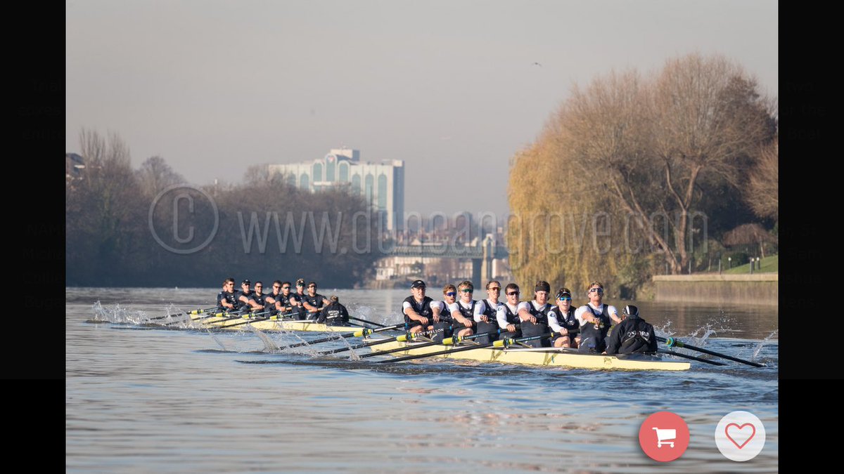 Washington Rowing tweet media