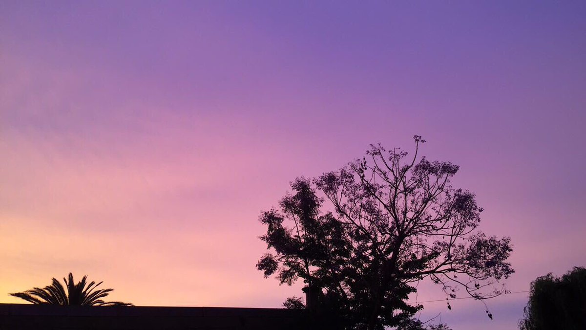 _skyvibes_'s tweet image. 