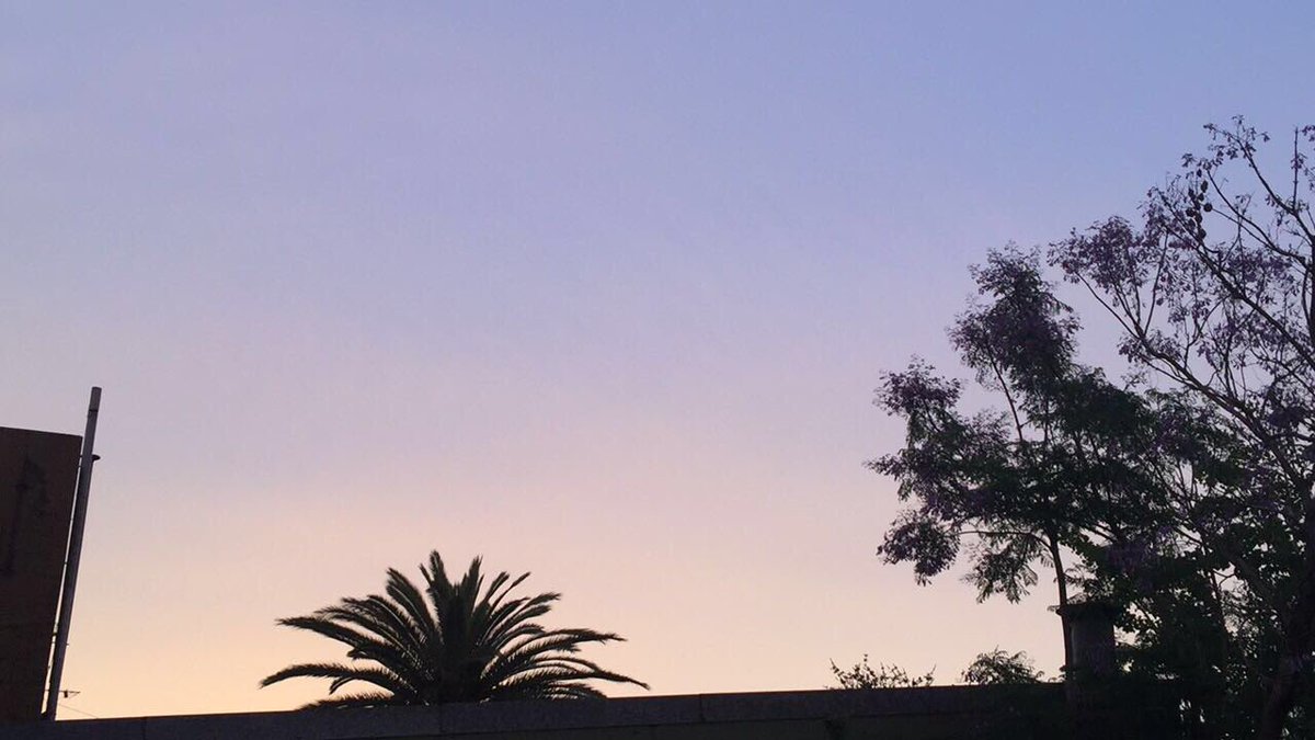 _skyvibes_'s tweet image. 