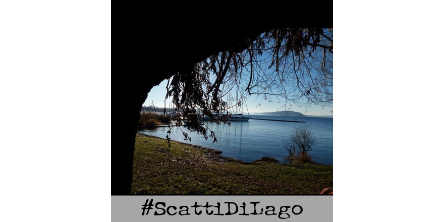 scattidilago's tweet photo. #Natura un bene prezioso da difendere
#Acqua elemento da cui tutto ha origine
#rispettalanaturacometestesso
#LagoMaggiore https://t.co/9CK9fVhnUq