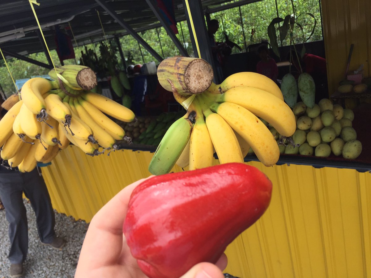 anoyngguy's tweet photo. It is always difficult to decide which fruit to take #fruit #exotic #water #fresh https://t.co/NyEydulIsa