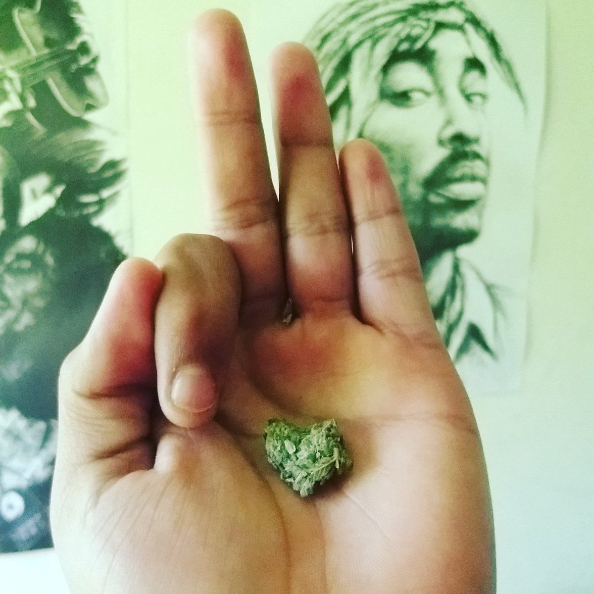 juanko_lopz's tweet photo. #ILOVE #FOCKIN #WEED ๐๐๐๐ถ https://t.co/WEWtuInPXK