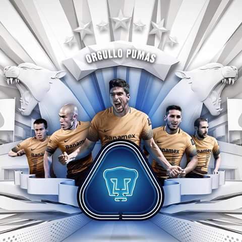 luisraulpumas's tweet photo. Claro que si se lo hizo al Campeón, Necaxa es de 1era división, no es como Dorados,Indios. #tirodirectosi https://t.co/eBOPaO6PtD