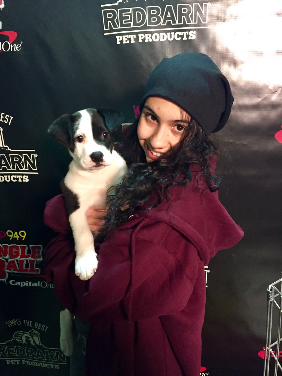 Wild949's tweet photo. HERE with .@alessiacara and the @HopalongRescue #JinglePets! So cute! @redbarninc @petfoodexpress #iHeartPFE #redbarninc https://t.co/vc04BAl5qH