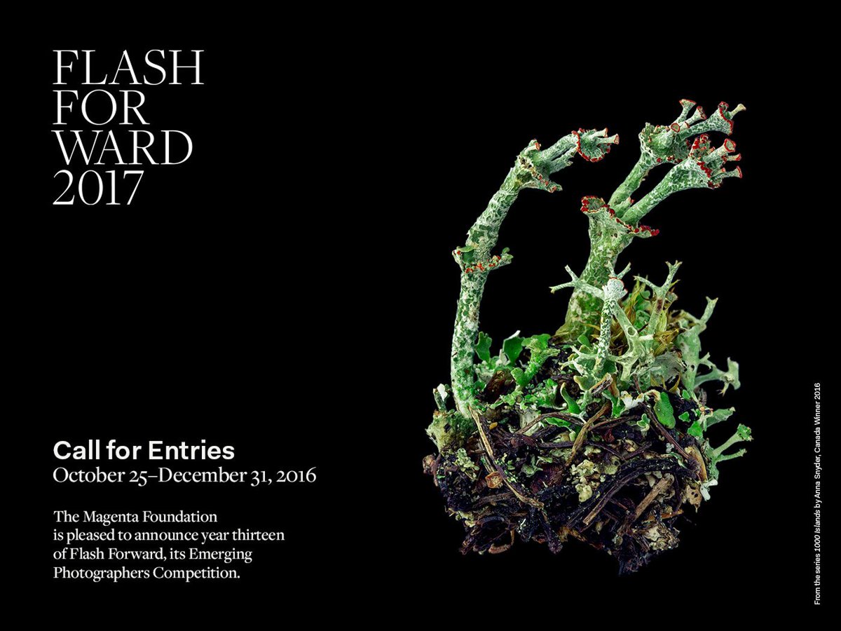 lenscratch's tweet photo. CALL FOR ENTRY /// FLASH FORWARD 2017
Over $20,000 in cash awards and prizes!
Deadline to submit:  December 31, 2016
https://t.co/7MyiQTkqUQ https://t.co/45nFfVQBEp