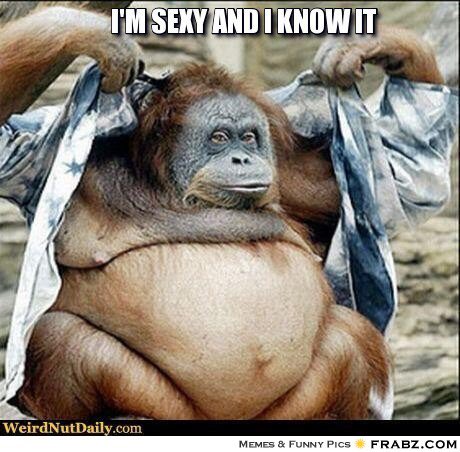 LittleOldHayles's tweet photo. Conclusion no.1 Now I resemble an Orangutan after 2things, I must accept I'm not able to get away with no bra #nightfeednatter #gravityfail https://t.co/Xte70GfJzB