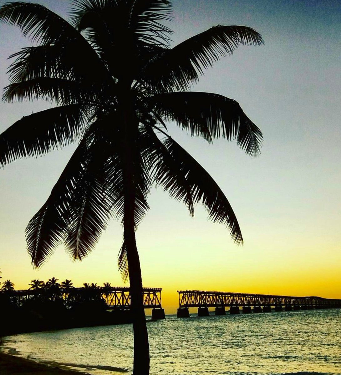 StaySaltyFL's tweet photo. Winter is optional! #florida #floridakeys @FloridaKeys @VISITFLORIDA https://t.co/q5wZtov4kt
