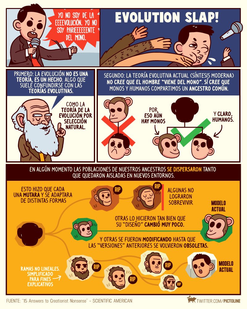 BIOTECH_SI's tweet photo. “Si venimos del mono, ¿por qué aún hay monos?"

Un día como hoy se publicó El origen de las Especies, gran oportunidad para explicar esto https://t.co/5HdZMedog6