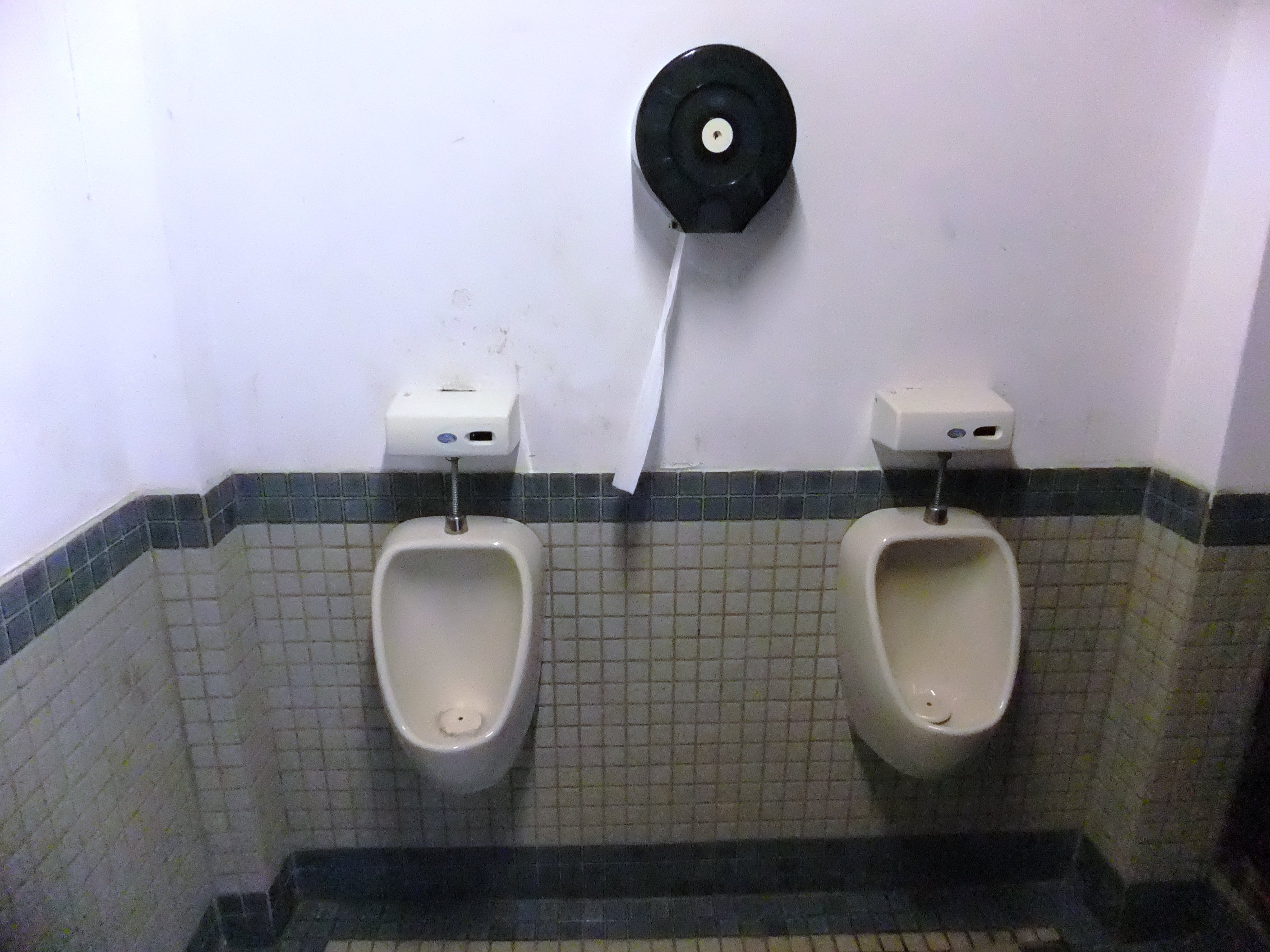 ていぞう お食事中の人ゴメンナサイ 台湾のトイレで見かけた不思議な風景 このトイレットペーパーって何のため 使ったトイレットペーパーはどこに捨てるの 明らかに使っている雰囲気があるんです 台湾 トイレ 小便器 トイレットペーパー