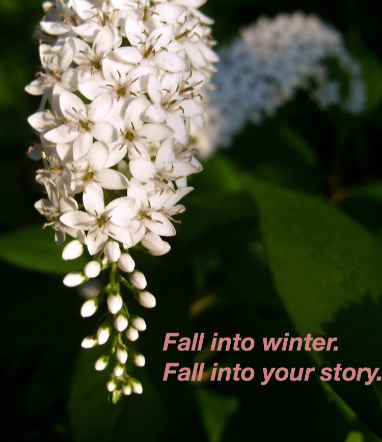 WritingHealing's tweet image. #Fall into winter.
Fall into your #story 
#fancyfriday #fridayfun