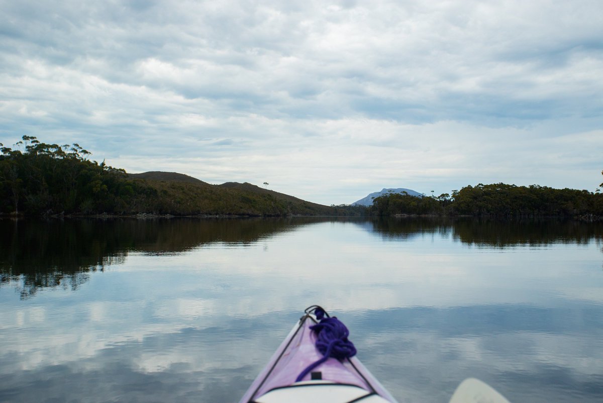 Roaring 40s Kayaking tweet media