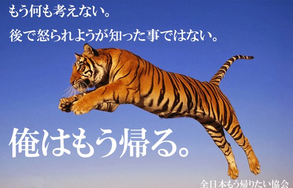 全日本もう帰りたい協会 على تويتر もう何も考えない 全日本もう帰りたい協会 على تويتر もう何も考えない