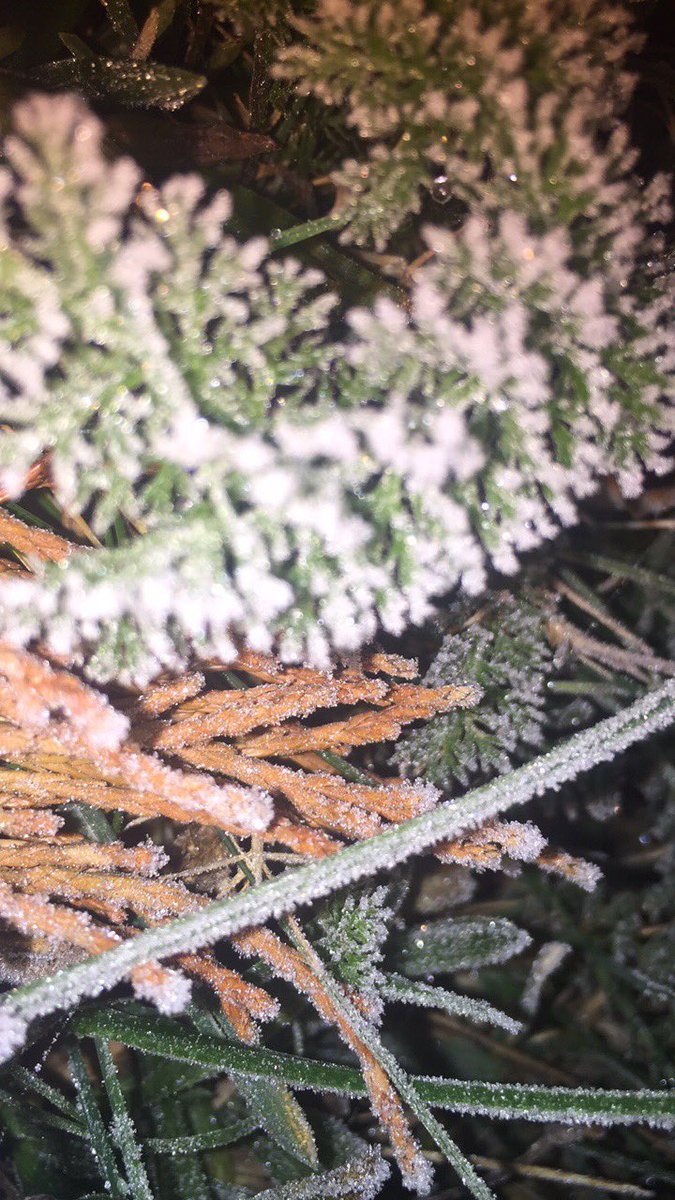 CrackersPaul's tweet photo. Il fait froid ce matin !
#nuitinfo #DarthCoder @DarthCoderExia https://t.co/3Rn3MZIgCQ