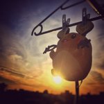 デデンネ、誤って洗濯機で洗われ、夕暮れに干されるw