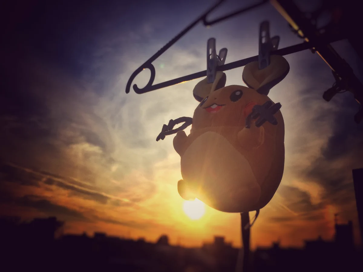 デデンネ、誤って洗濯機で洗われ、夕暮れに干されるｗｗ